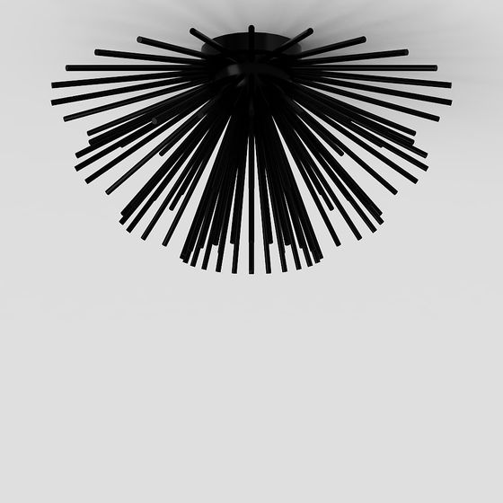 Sunburst Ceiling Light 3D model