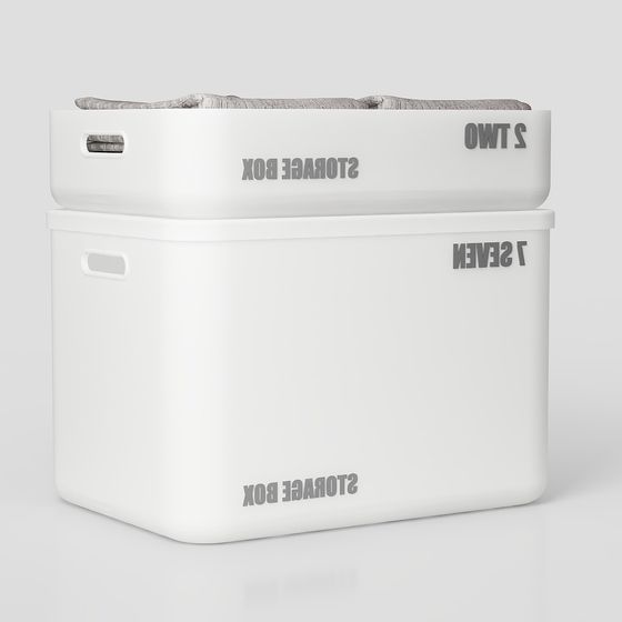 Minimalist Storage Box Duo 3D model