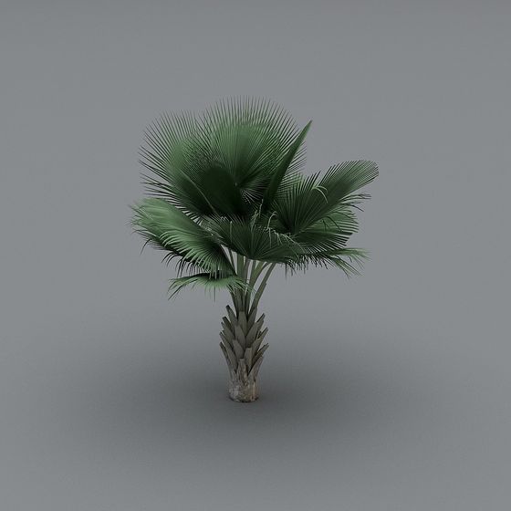Lush Palm Tree 3D Model for Tropical Designs