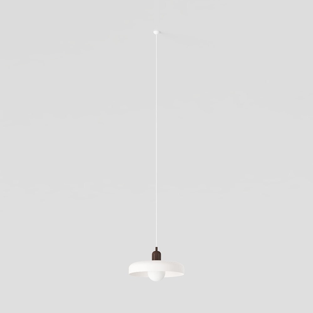 Hanging Lamp #16
