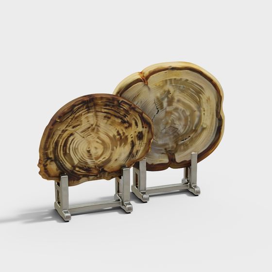 Fossil Plate 3D Model for Creative Projects