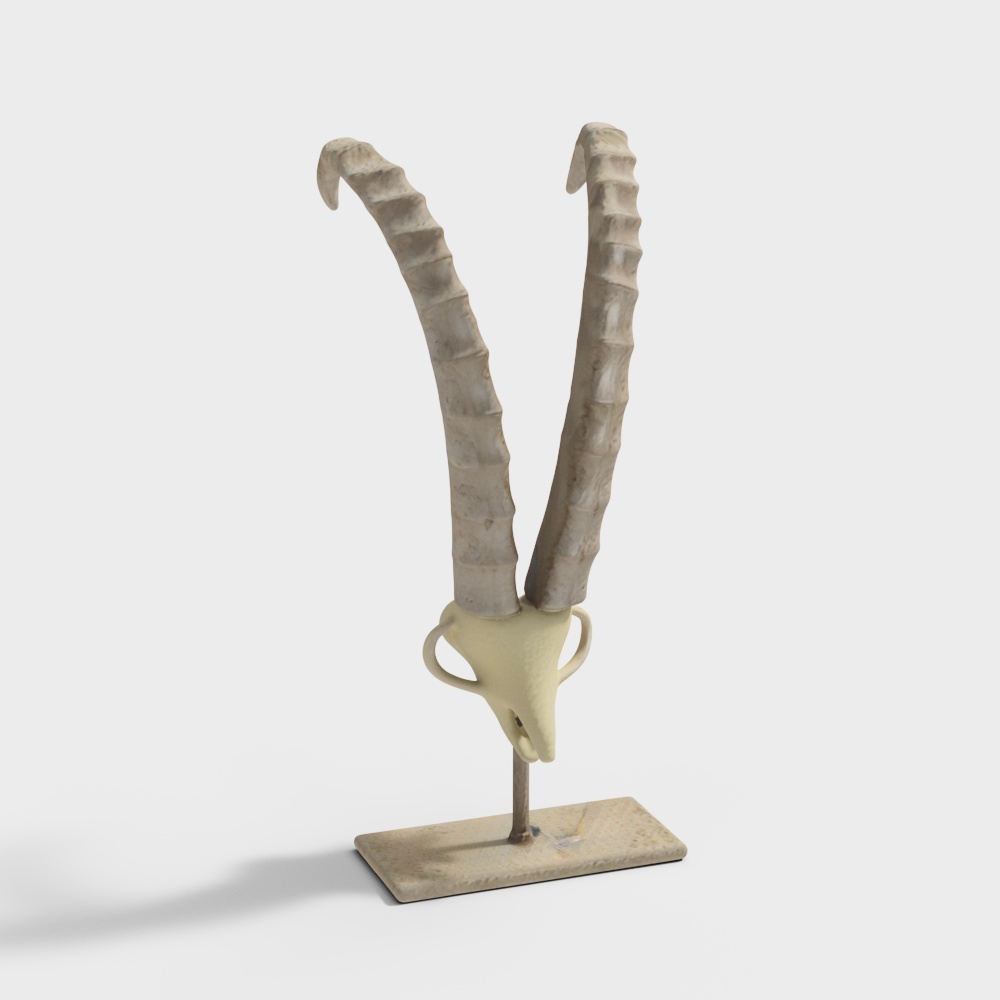 Goat Horn Stand 3D Model – Stone Texture Design