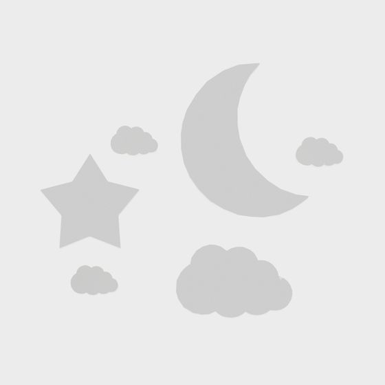 Dreamy Night Scene 3D model