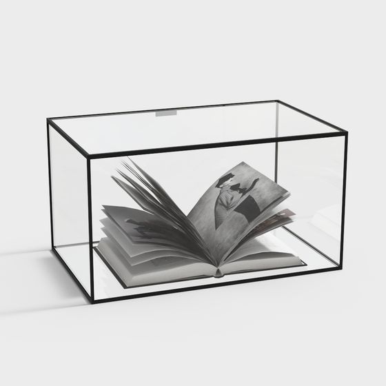 Elegant Glass Book Box 3D model