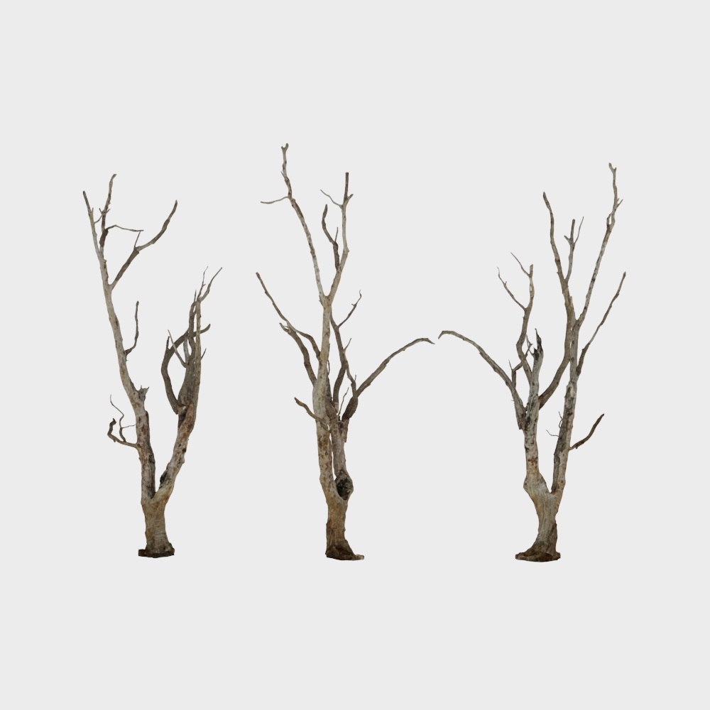 Winter Dry Trees 3D model