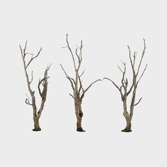 Winter Dry Trees 3D model for Artistic Projects