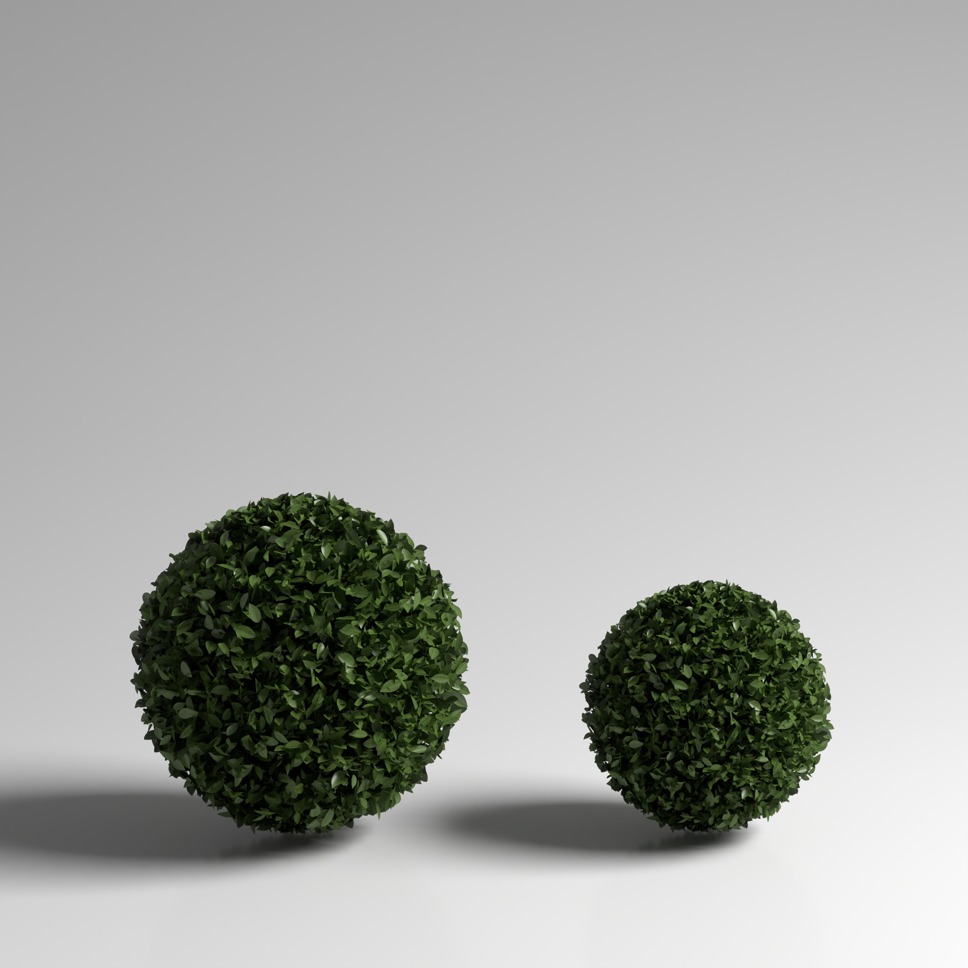 Spherical Plant