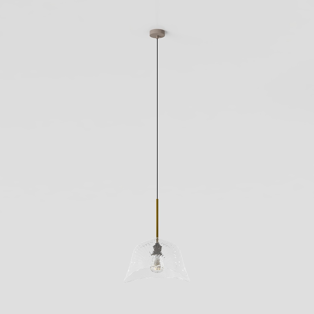 Hanging Lamp #37