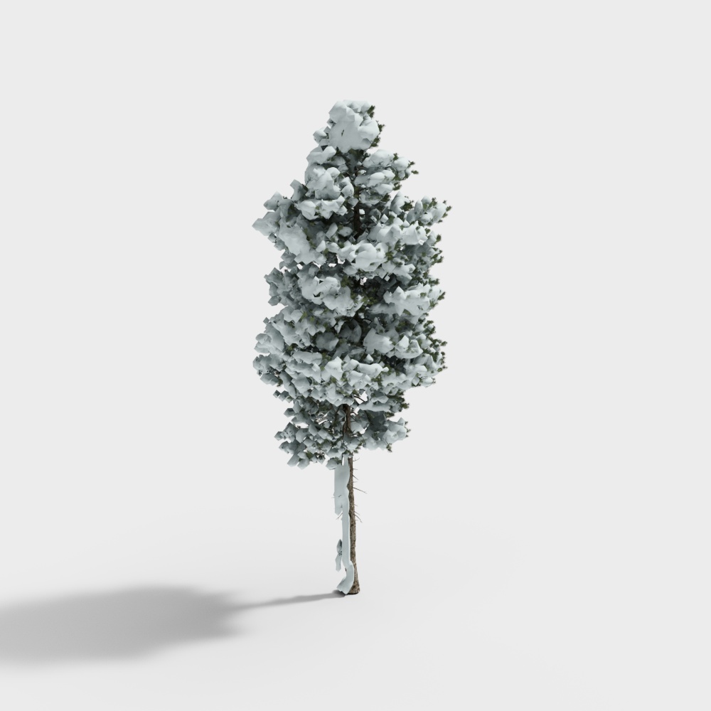 Snow Tree
