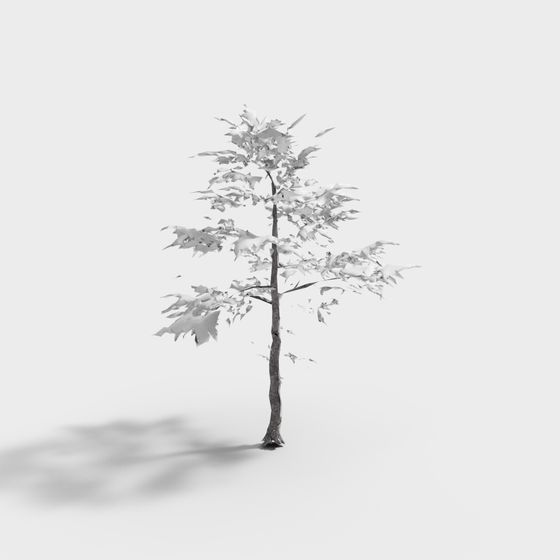 Albero di neve in inverno