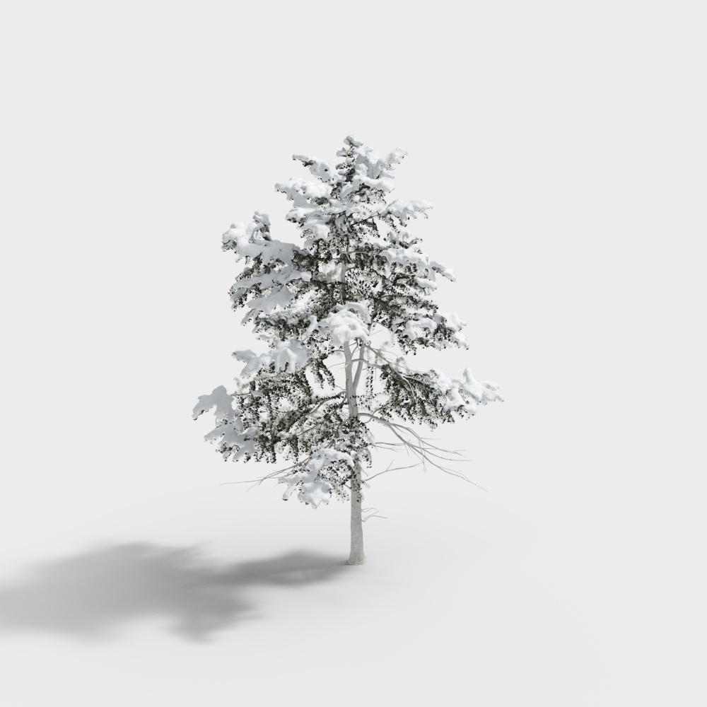 Winter Snow Tree