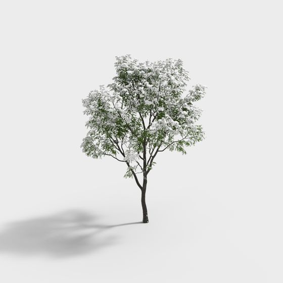 Realistic Snow-Covered Tree 3D Model