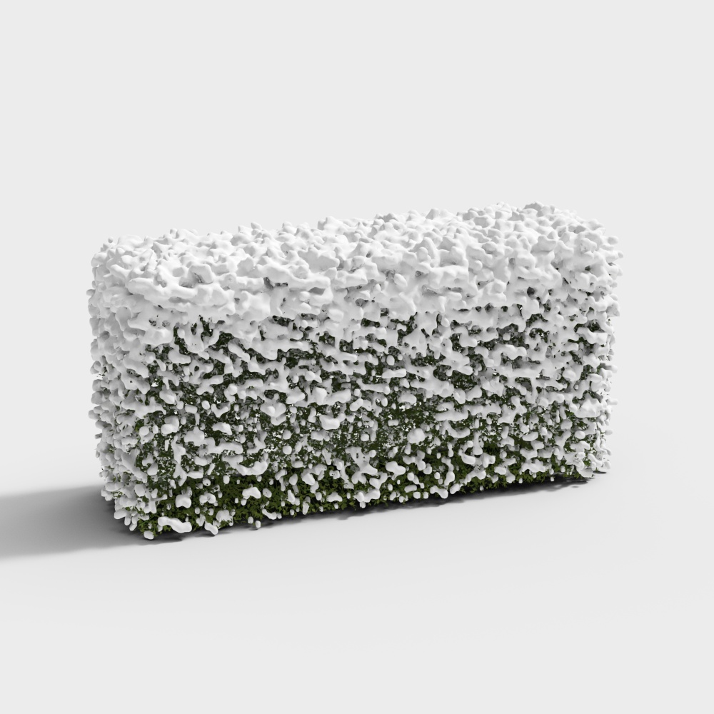 Snowy Landscape Vegetation