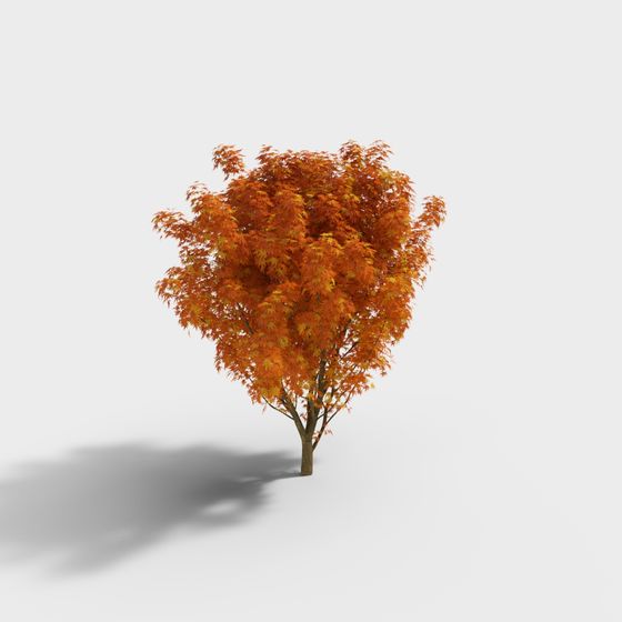 Autumn Maple Tree 3D model with Vibrant Colors