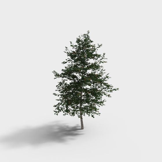 Vibrant 3D Tree Model for Creative Projects