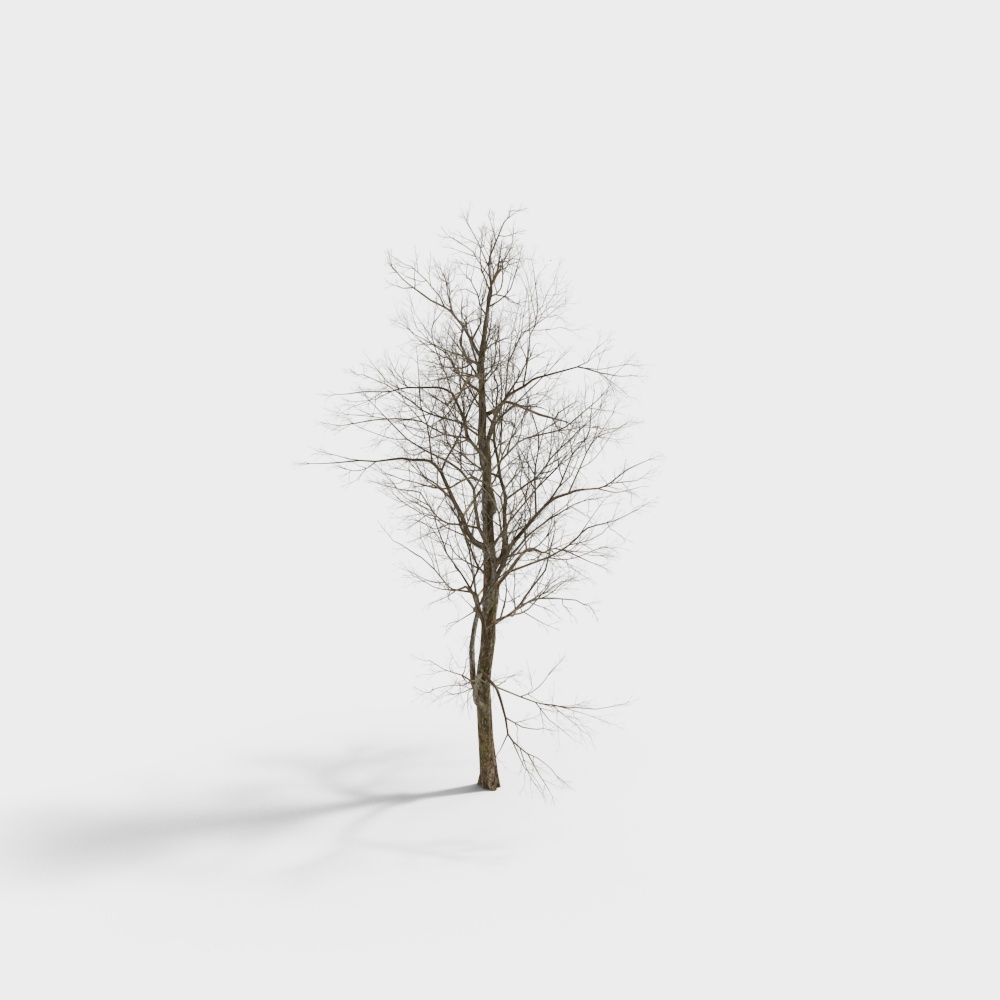 Low Poly Tree 3D Model for Winter Scenes