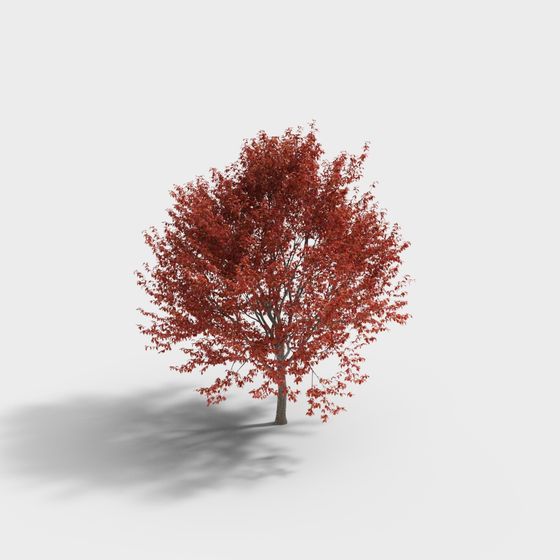Vibrant Red Maple Tree 3D Model