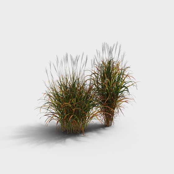 Realistic Wild Grass Clump 3D model