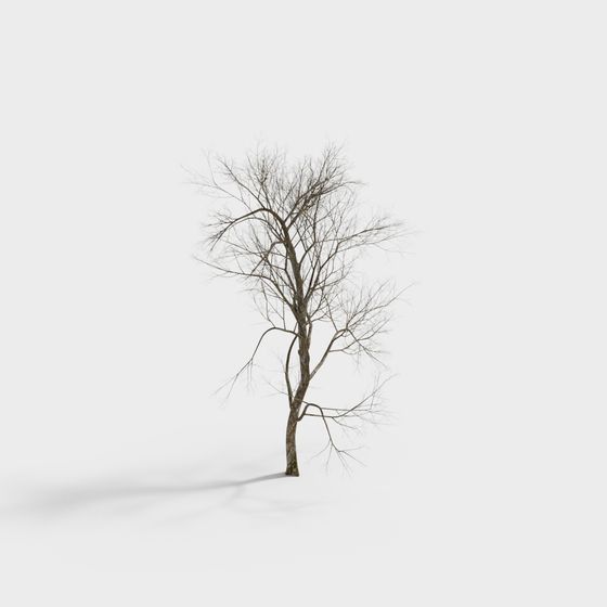 Lonely Winter Tree 3D model
