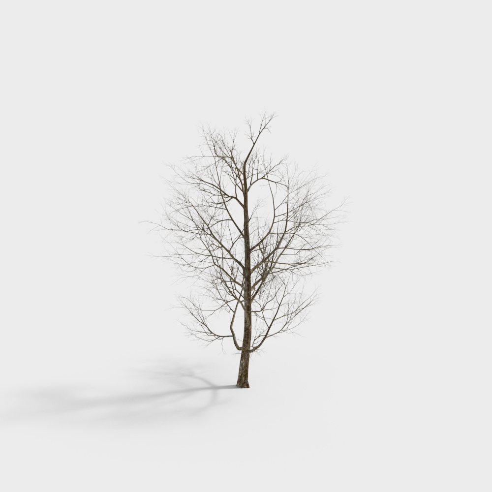 Low-Poly Tree 3D model for Diverse Creative Projects