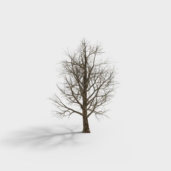 Detailed Winter Tree 3D Model for Creative Projects