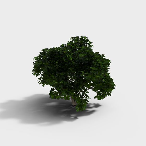 Vibrant Low-Poly 3D Tree Model