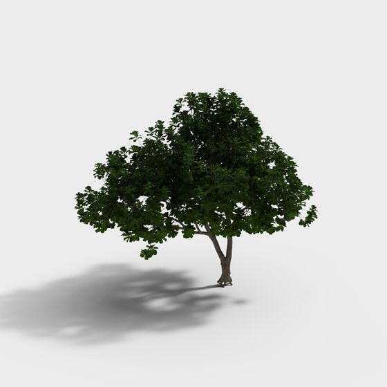 Vibrant Low-Polygon 3D Tree Model for Creative Projects