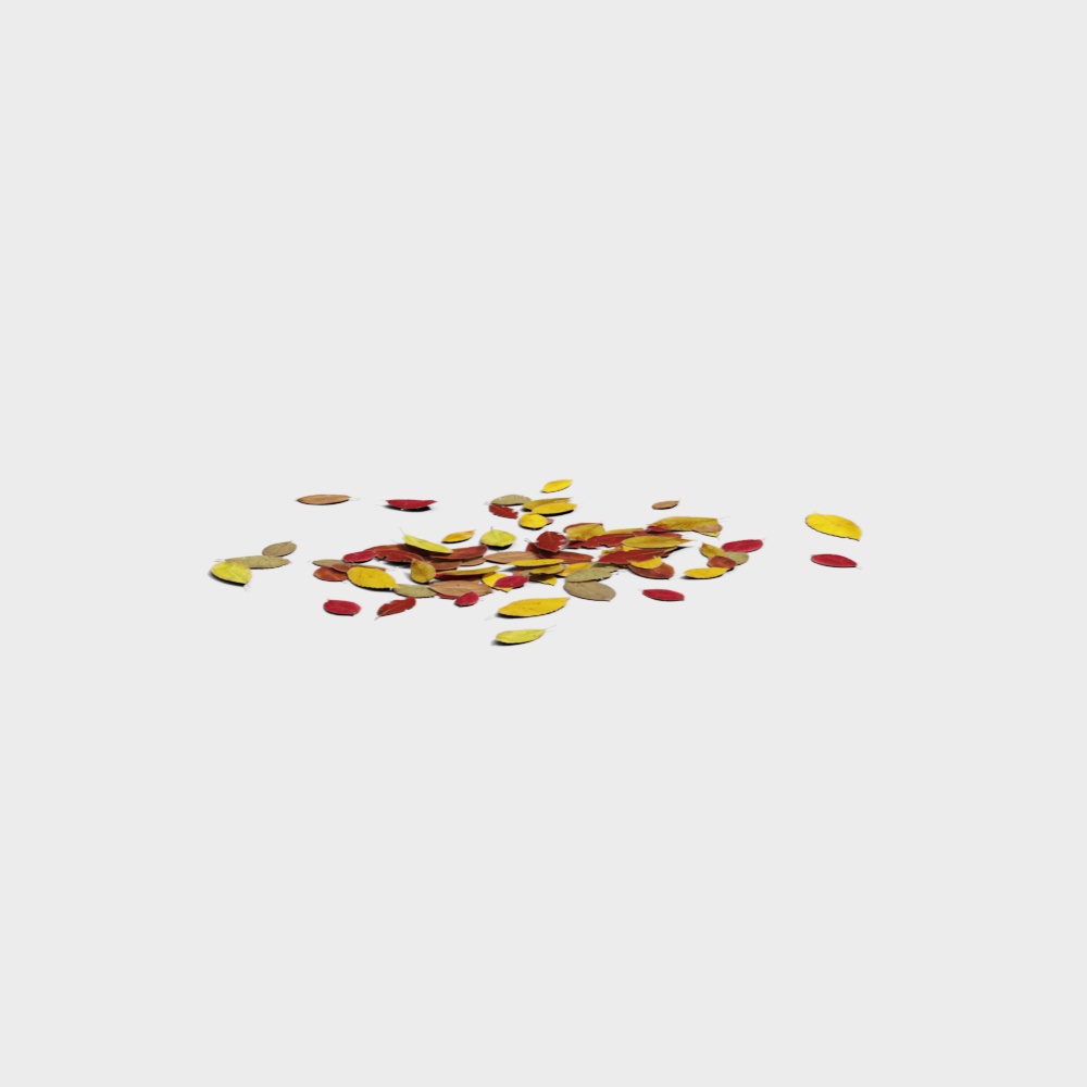 Autumn Leaves Pile 3D model