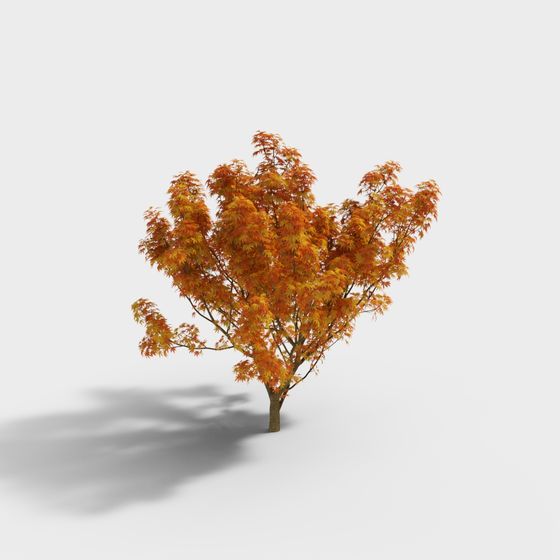 Autumn Maple Tree 3D Model for Design Projects