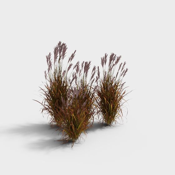 Versatile Low-Poly Wild Grass 3D Model for Outdoor Design