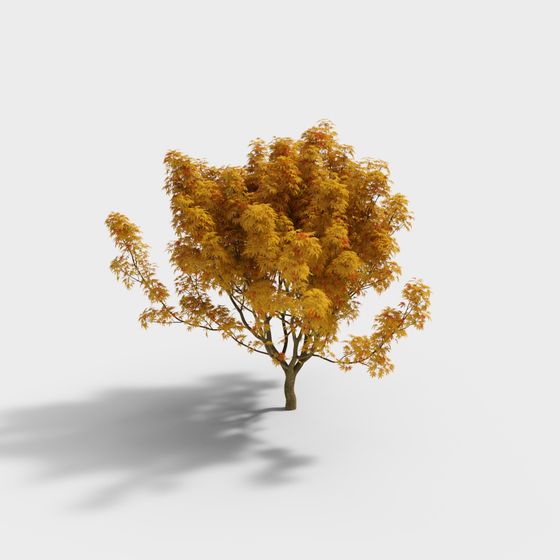 Vibrant Autumn Maple Tree 3D model