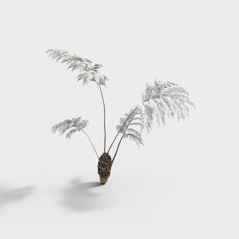 Snowy Landscape Vegetation