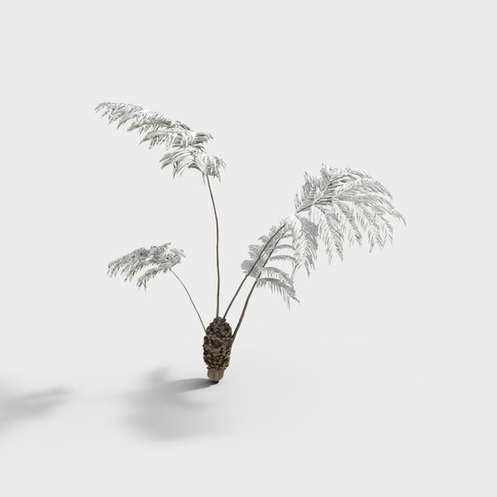 Low Poly Palm Tree 3D model for Tropical Ambience