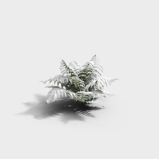 Snowy Fern 3D model for Creative Projects