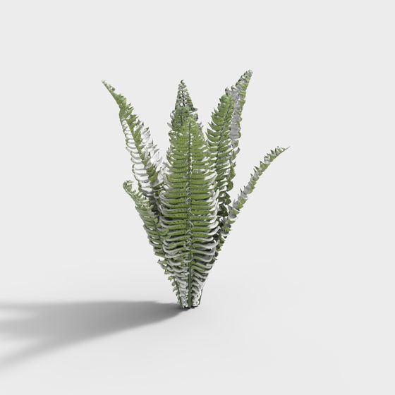 Lush Green Fern Leaves 3D model