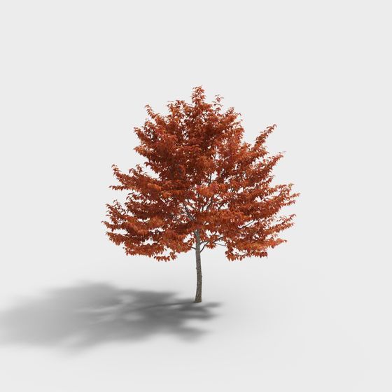 Vibrant Low-Poly Maple Tree 3D Model