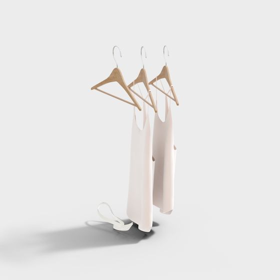 Elegant Hanger and Slip Dress 3D model