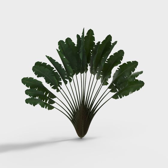 Vibrant Banana Tree 3D Model for Tropical Aesthetics