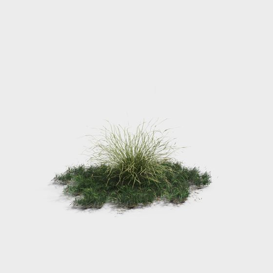 Natural Grass 3D Model for Creative Use