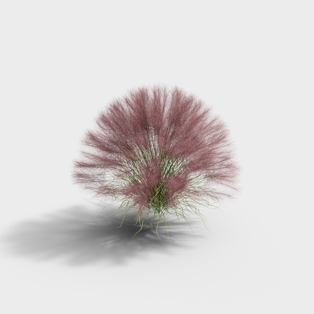 Pink dust flower tree shrub