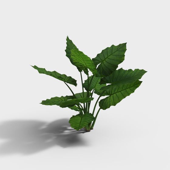 Tropical Plant 3D Model for Designers and Developers