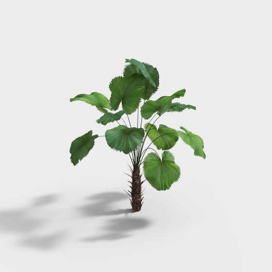 Lifelike Palm Tree 3D model for Creative Projects