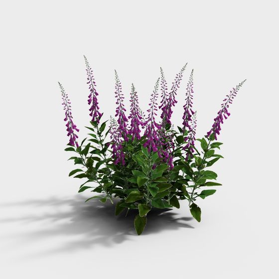 Dreamy Flower Bed 3D model