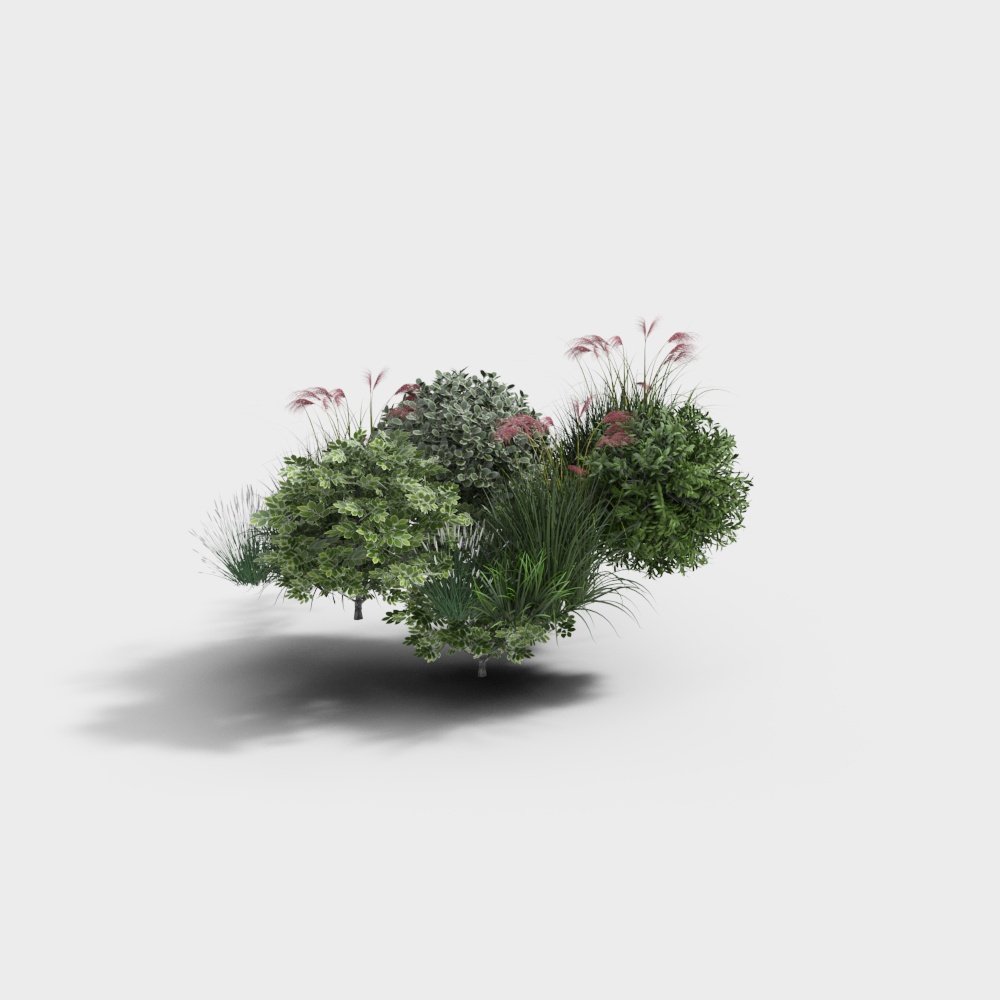 モダンプランツ