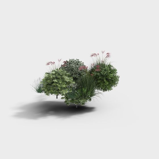 モダンプランツ