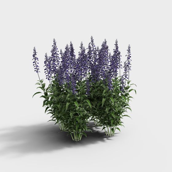 Lavender 3D Model for Natural Design Touch