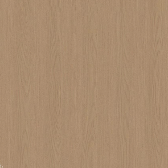 Sicilian Elm