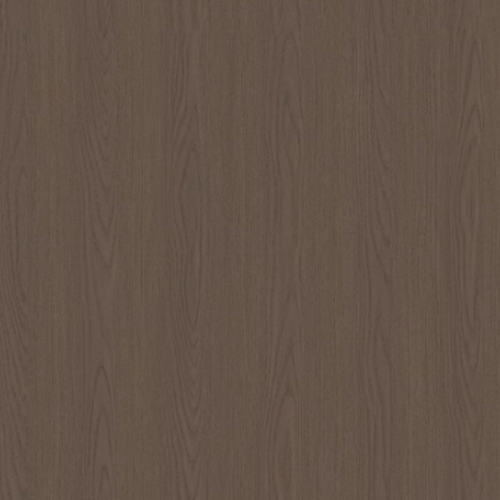 Sicilian Elm-1