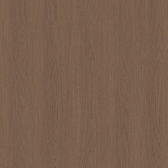 Sicilian Elm-2