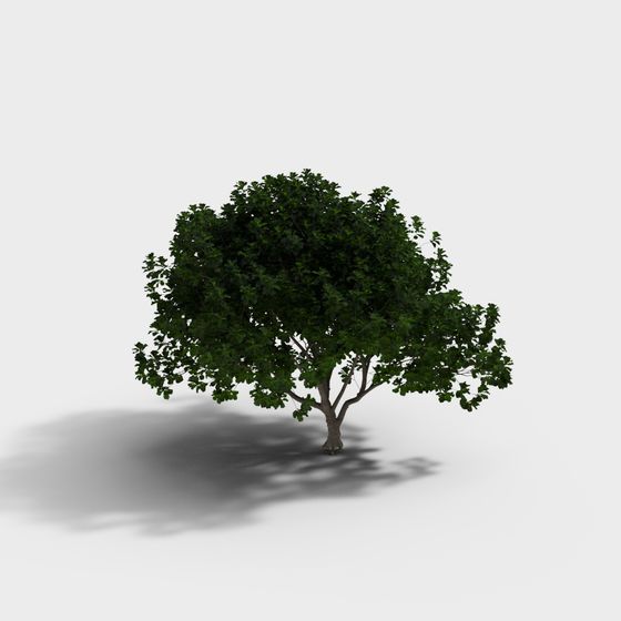 Lifelike Low-Poly 3D Tree Model